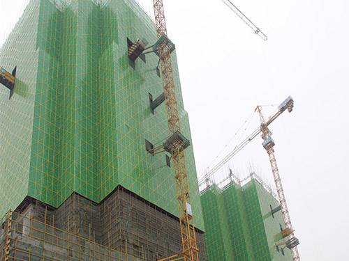 半米字型爬架網圖片2 半米字型爬架網圖片2