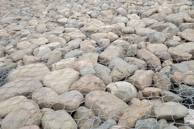 廣東雷諾護墊圖片3