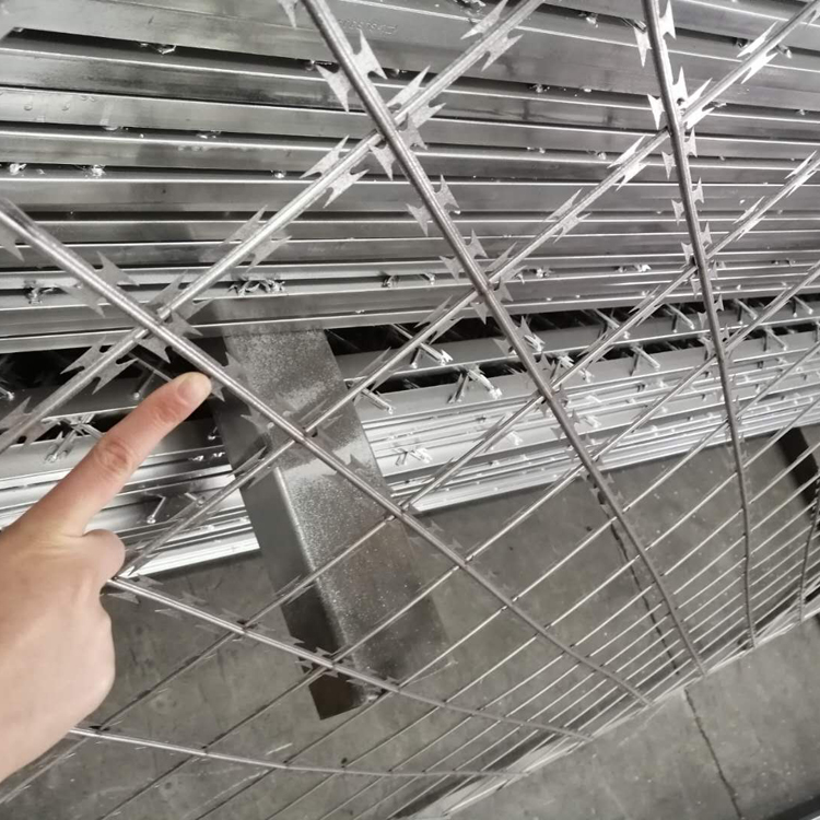 河南直線型刀片刺網圖片2 河南直線型刀片刺網圖片2