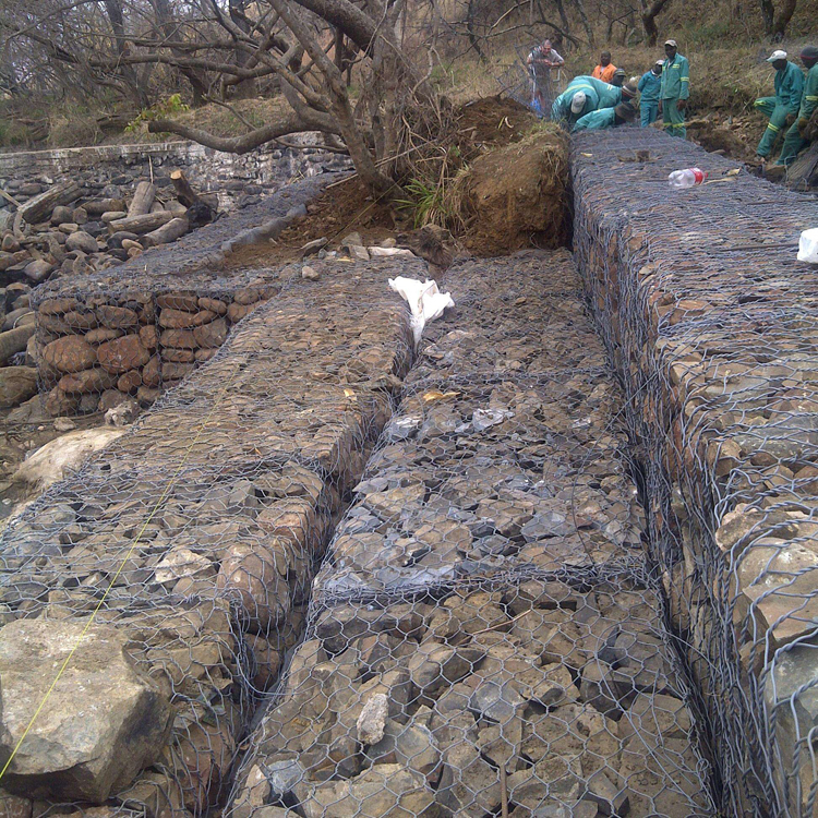 福建生態石籠網