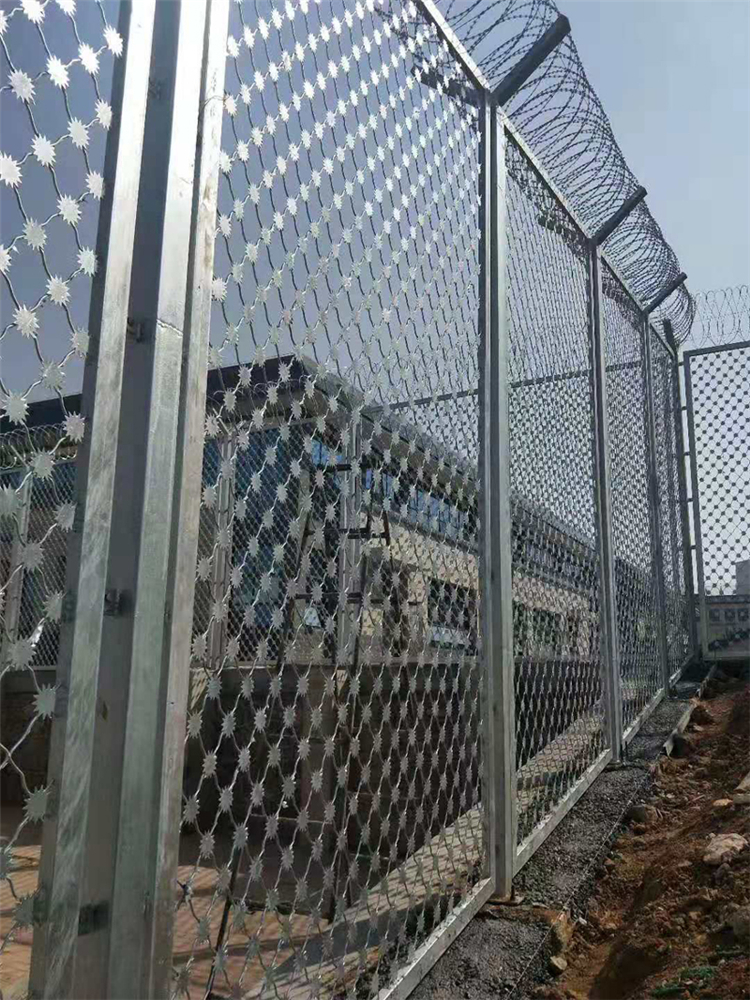 福建拘留所防攀爬隔離網圖片4