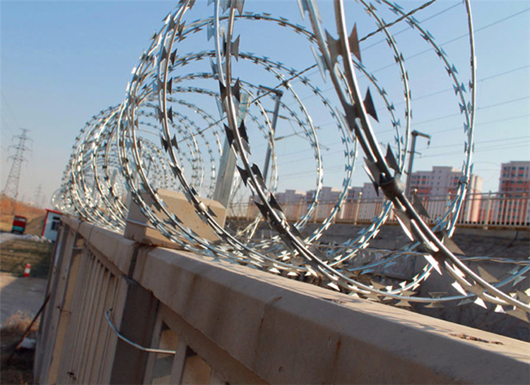 江蘇刺絲滾籠圖片2 江蘇刺絲滾籠圖片2