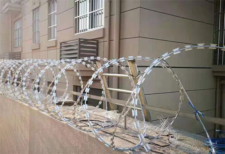 江蘇刺絲滾籠圖片3 江蘇刺絲滾籠圖片3