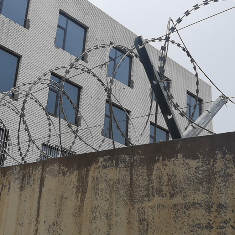 安徽螺旋式刀片刺網圖片4