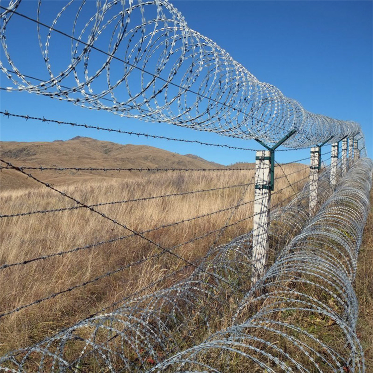 廣東蛇形刀刺網圖片3 廣東蛇形刀刺網圖片3