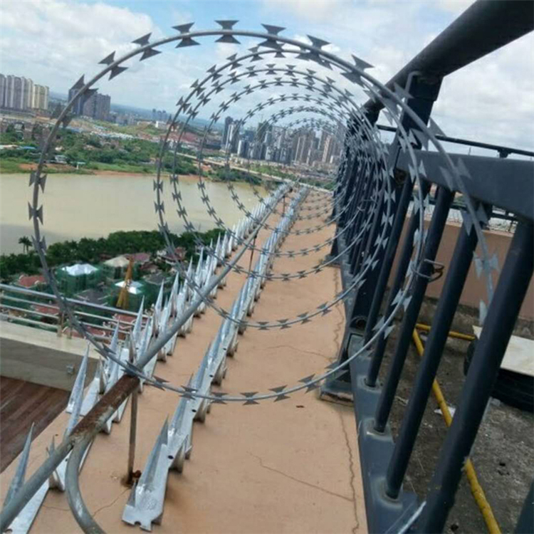 廣東蛇形刀刺網圖片4 廣東蛇形刀刺網圖片4