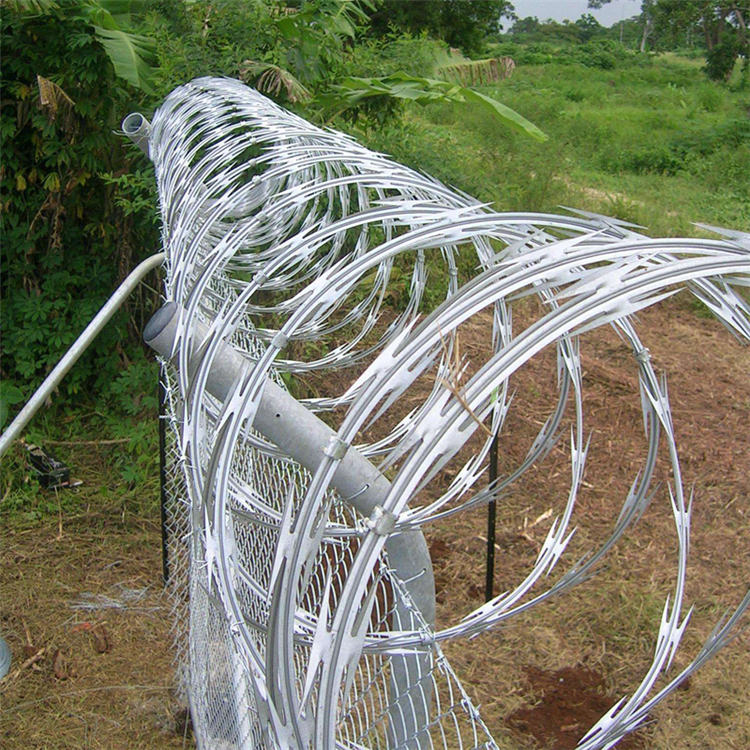 刀片刺網滾籠圖片4