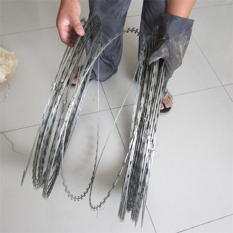 新疆圍墻防爬刺網圖片2 新疆圍墻防爬刺網圖片2