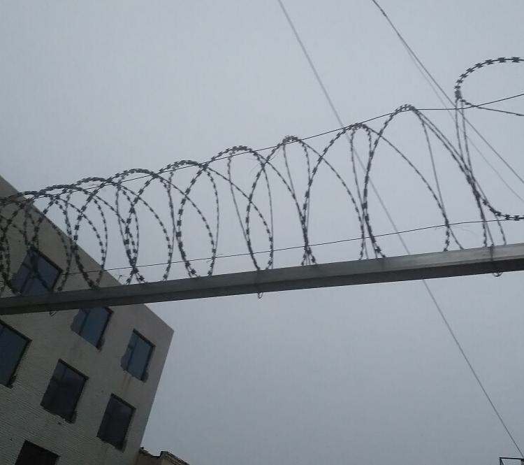 新疆圍墻防爬刺網圖片3 新疆圍墻防爬刺網圖片3