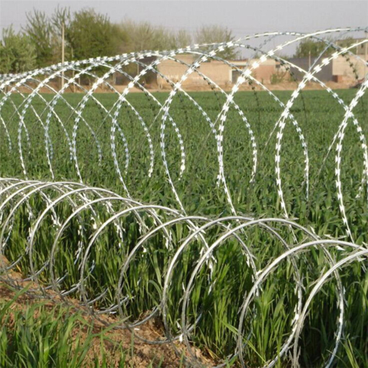 新疆圍墻防爬刺網圖片4 新疆圍墻防爬刺網圖片4