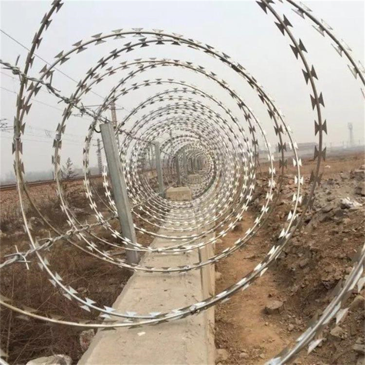 蛇腹型刀片刺繩圖片1 蛇腹型刀片刺繩圖片1