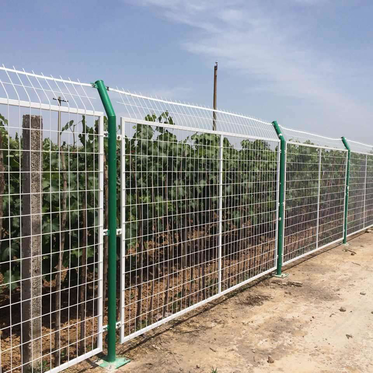 草原圍欄網圖片3 草原圍欄網圖片3