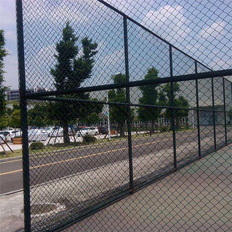 4米高球場圍網(wǎng)圖片4 4米高球場圍網(wǎng)圖片4