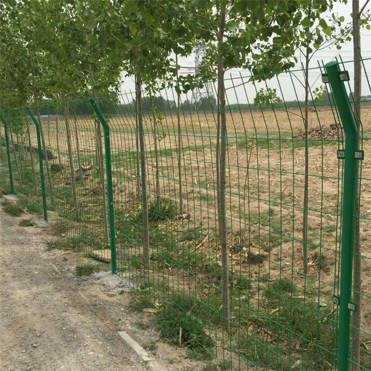 市政綠化護欄網圖片2 市政綠化護欄網圖片2