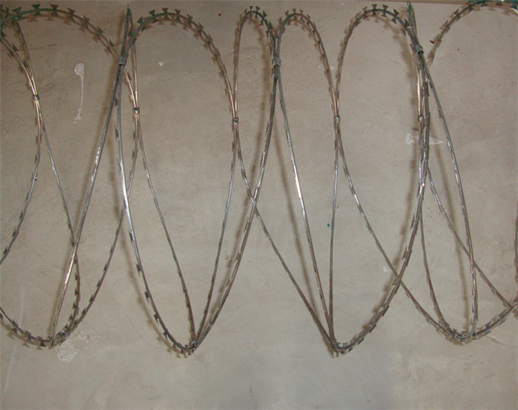 新疆刀片刺網(wǎng)?圖片3