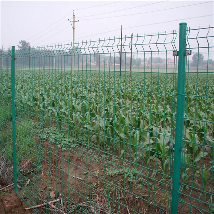 圈山防護隔離網圖片2 圈山防護隔離網圖片2