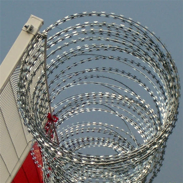 刺絲滾籠圖片2 刺絲滾籠圖片2