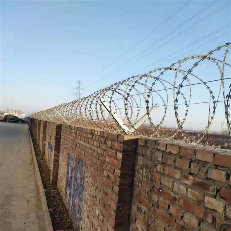 陜西蛇形刀片刺網圖片3 陜西蛇形刀片刺網圖片3