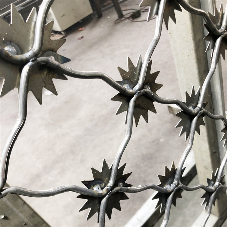 監(jiān)獄梅花刺片隔離鋼網墻圖片3 監(jiān)獄梅花刺片隔離鋼網墻圖片3