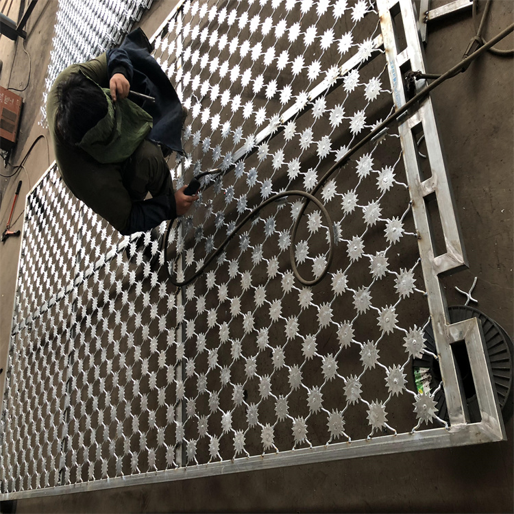 新疆監獄熱鍍鋅梅花刺片隔離網生產安裝圖片1 新疆監獄熱鍍鋅梅花刺片隔離網生產安裝圖片1