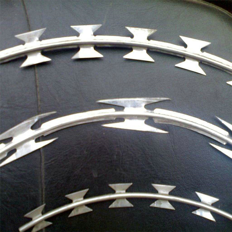 不銹鋼刀刺網Ф500mm現貨圖片2 不銹鋼刀刺網Ф500mm現貨圖片2