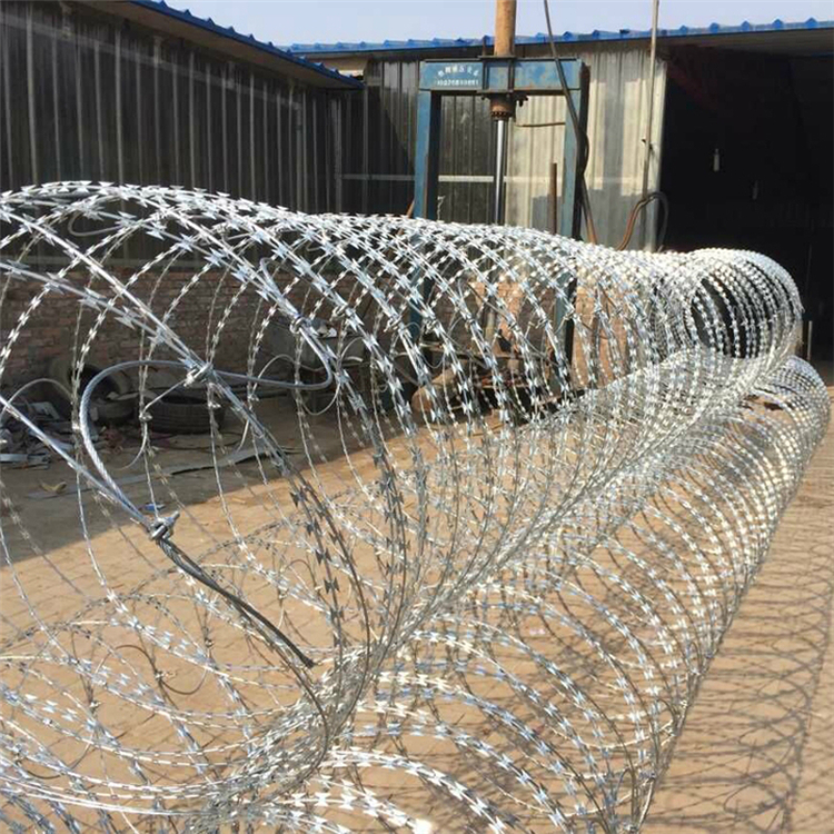 廣東熱鍍鋅刀片刺繩刺絲滾籠圖片2 廣東熱鍍鋅刀片刺繩刺絲滾籠圖片2